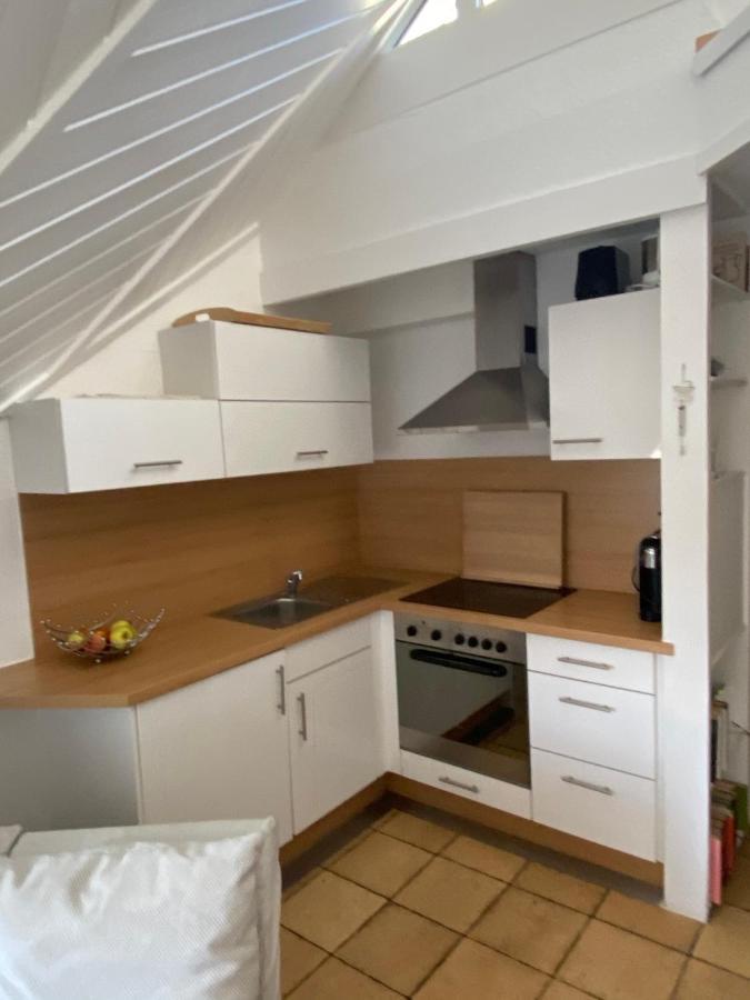 Hagnauer-Ferienwohnung Im Seegarten Екстериор снимка